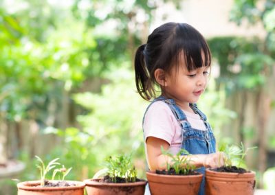 園藝如何培養孩子的數學能力